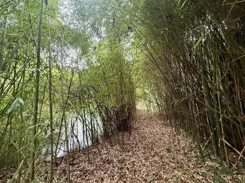 Maison - 49 m² - 2 pièces