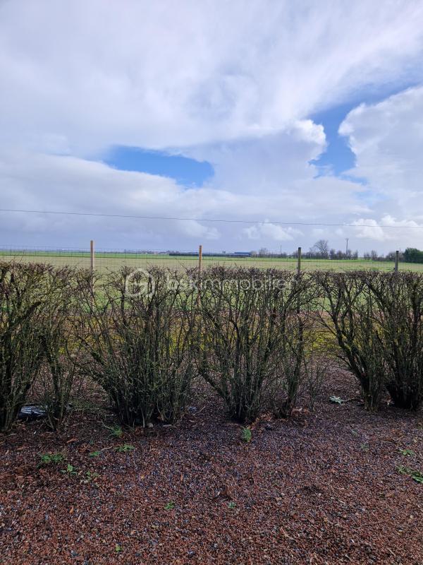 Propriété - 146 m² - 6 pièces