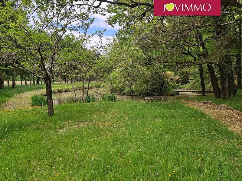 Terrain - 100 000 m²