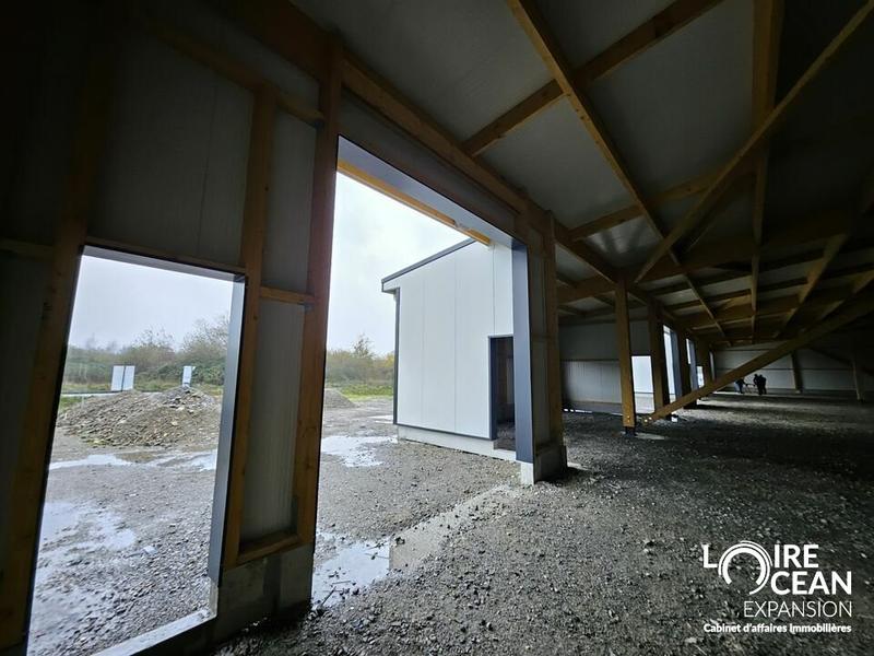 Entrepôt - 1 145 m²