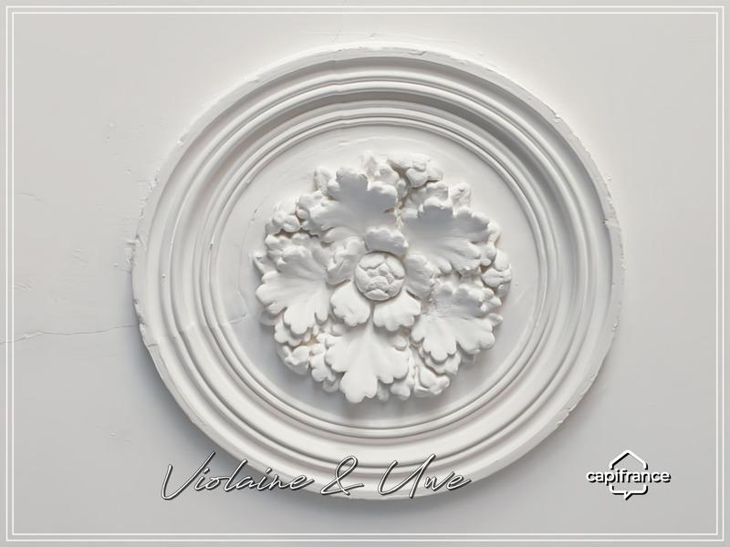 Maison bourgeoise - 433 m² - 12 pièces