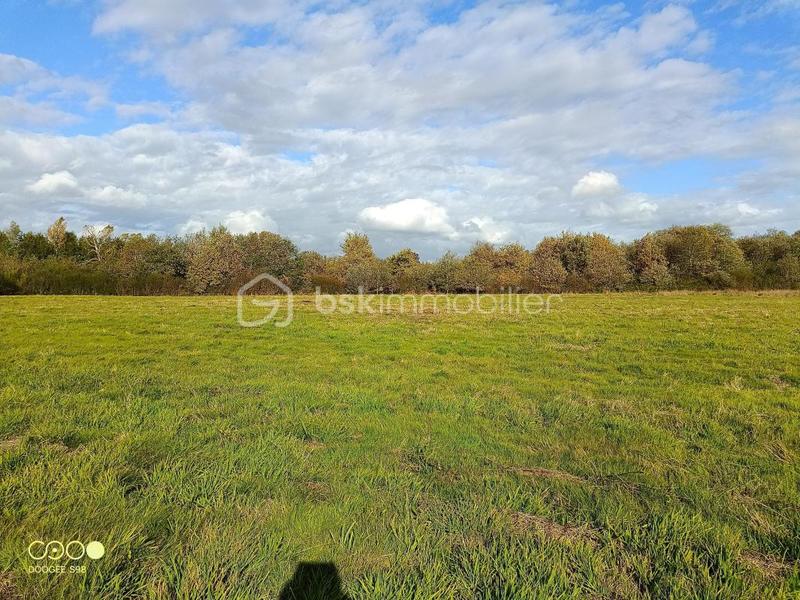 Terrain agricole - 150 960 m²