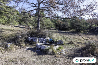 Terrain de loisirs - 28 250 m²