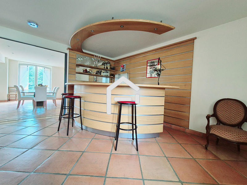 Maison de maîtres - 299 m² - 7 pièces