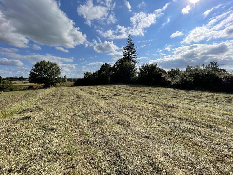 Terrain agricole - 1 000 m²