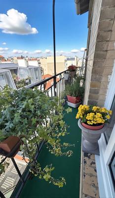 Appartement - 50 m² - 2 pièces