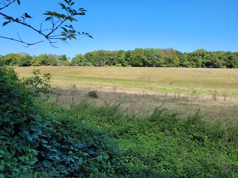 Maison - 220 m² - 7 pièces