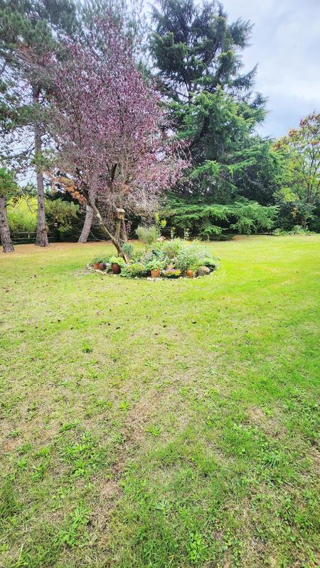 Appartement - 94 m² - 5 pièces