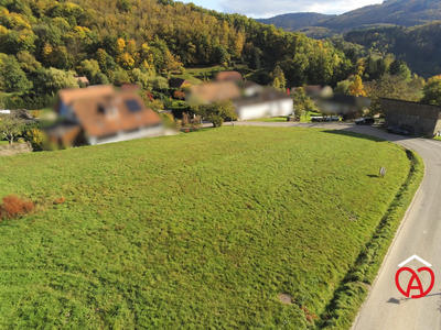 Terrain - 728 m²