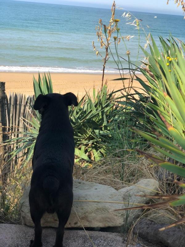 Maison - 92 m² - 6 pièces