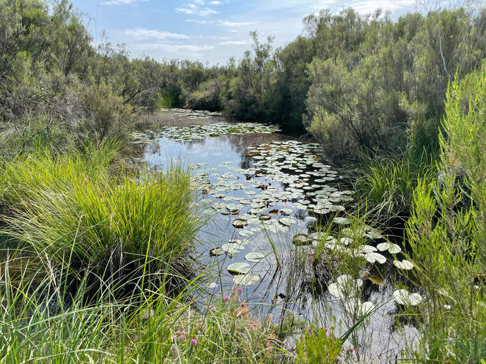 Visite découverte de la réserve