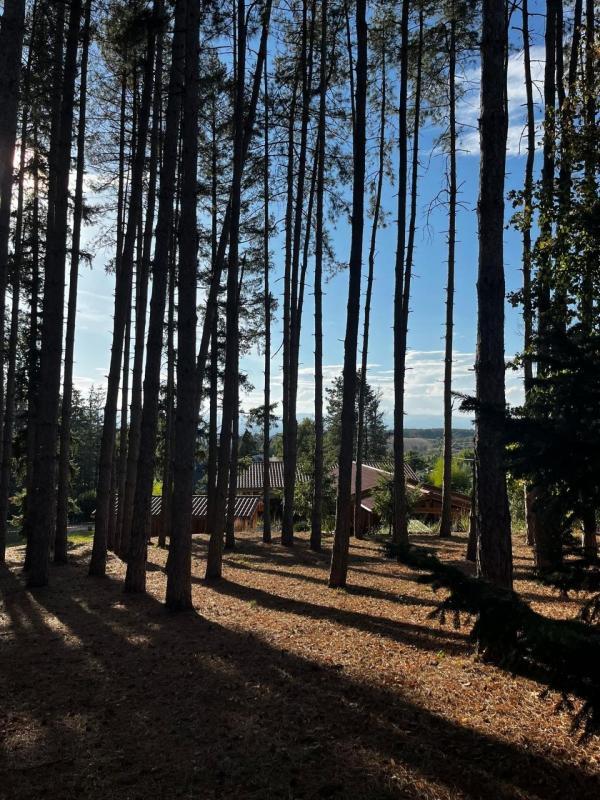 Maison de campagne - 290 m² - 6 pièces