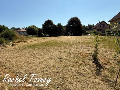 Terrain constructible - 1 039 m²