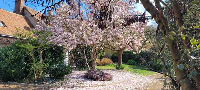 Propriété - 250 m² - 9 pièces