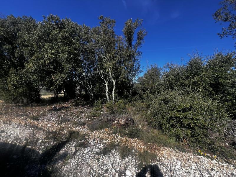 Terrain - 1 300 m²