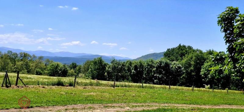 Propriété - 402 m² - 14 pièces