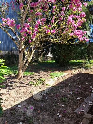 Maison ancienne - 83 m² - 3 pièces