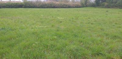 Terrain constructible - 5 540 m²