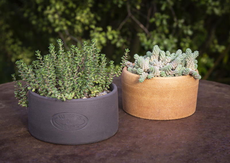 La Potere au grès du temps fête ses 21 ans