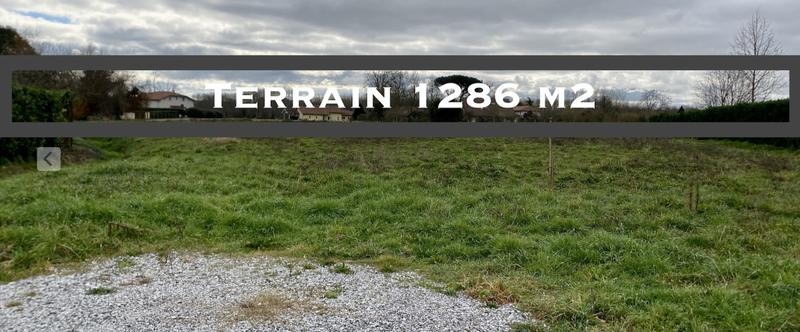 Terrain - 1 286 m²