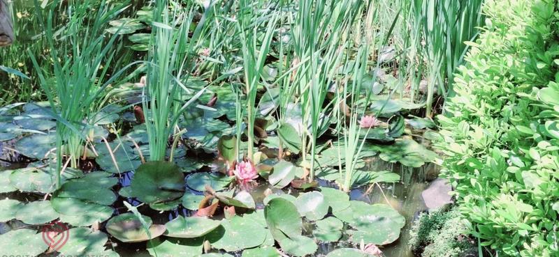 Propriété - 402 m² - 14 pièces