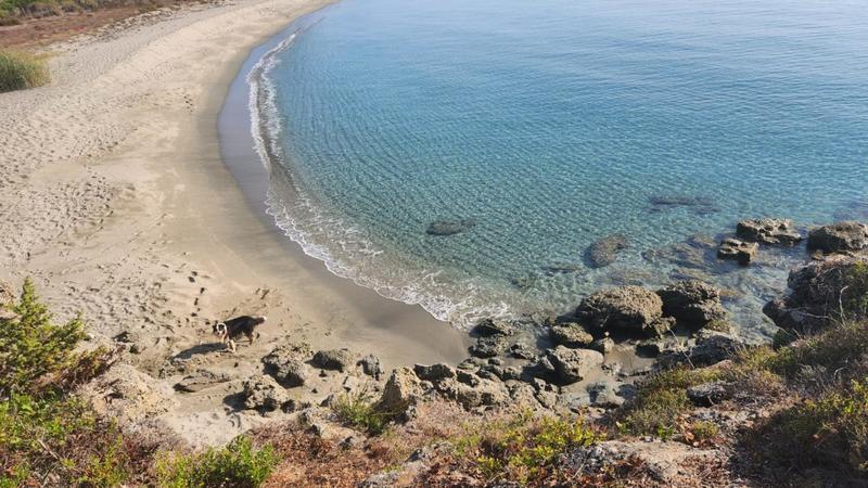 Appartement - 45 m² - 3 pièces