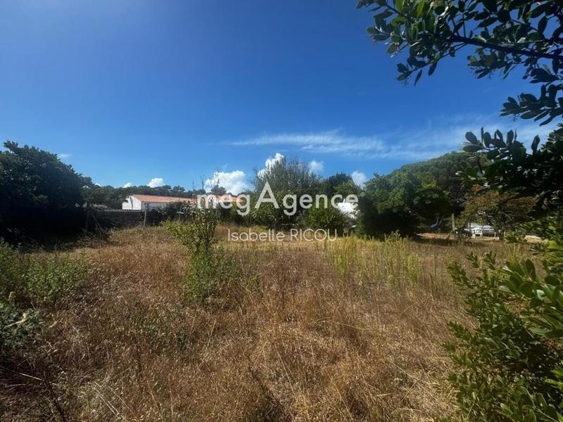 Terrain constructible - 728 m²