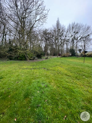 Maison - 113 m² - 6 pièces