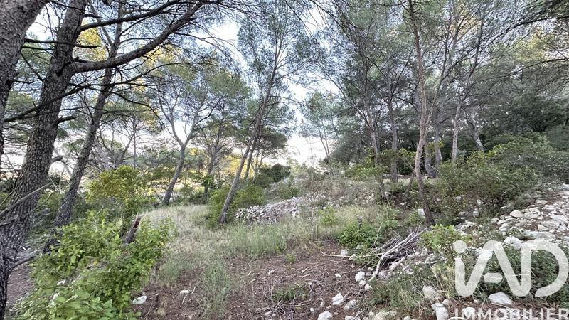 Terrain - 820 m²