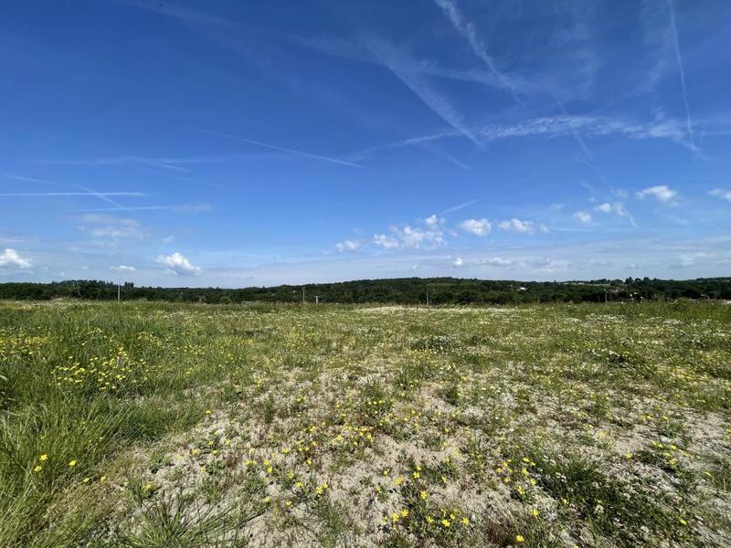 Terrain - 1 267 m²