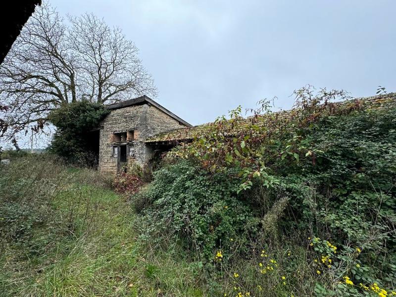 Terrain - 98 000 m²