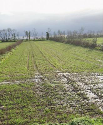 Terrain constructible - 500 m²