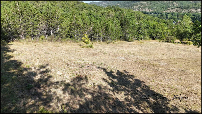 Terrain - 2 700 m²