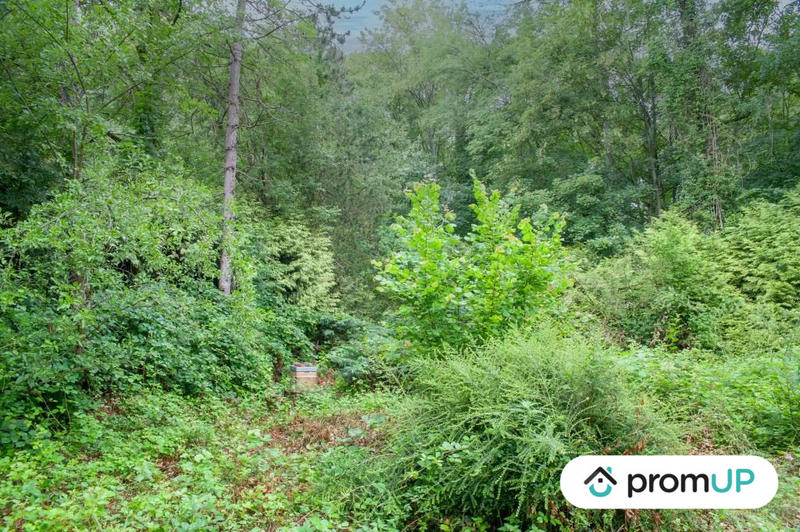 Terrain de loisirs - 6 460 m²