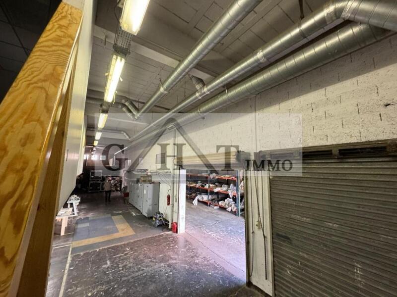 Entrepôt - 740 m²