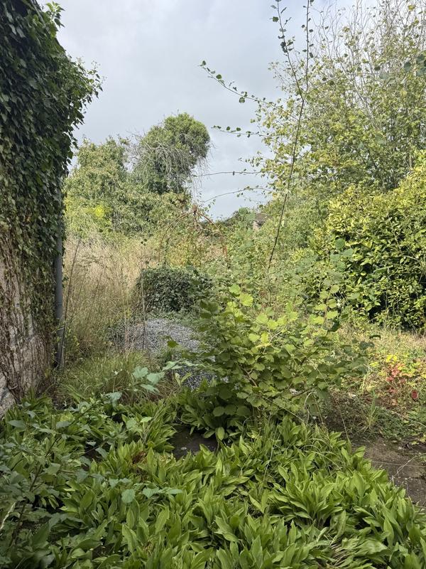 Maison ancienne - 230 m² - 7 pièces