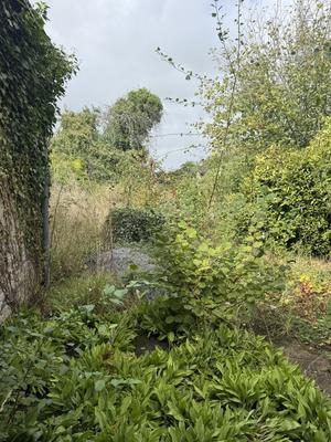 Maison ancienne - 230 m² - 7 pièces