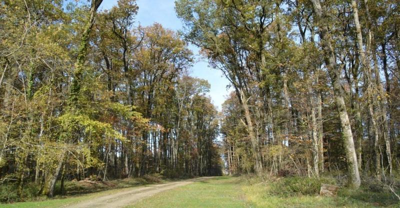 Manoir - 1 100 m² - 30 pièces