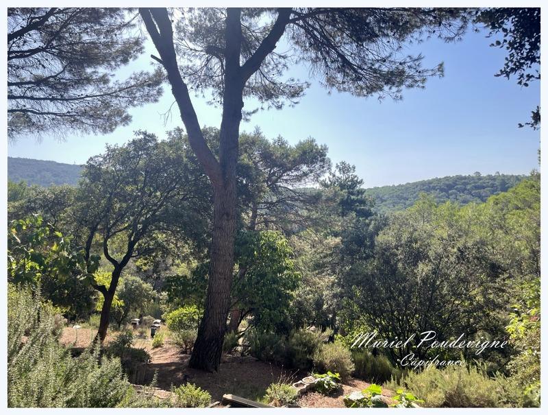 Maison - 142 m² - 8 pièces