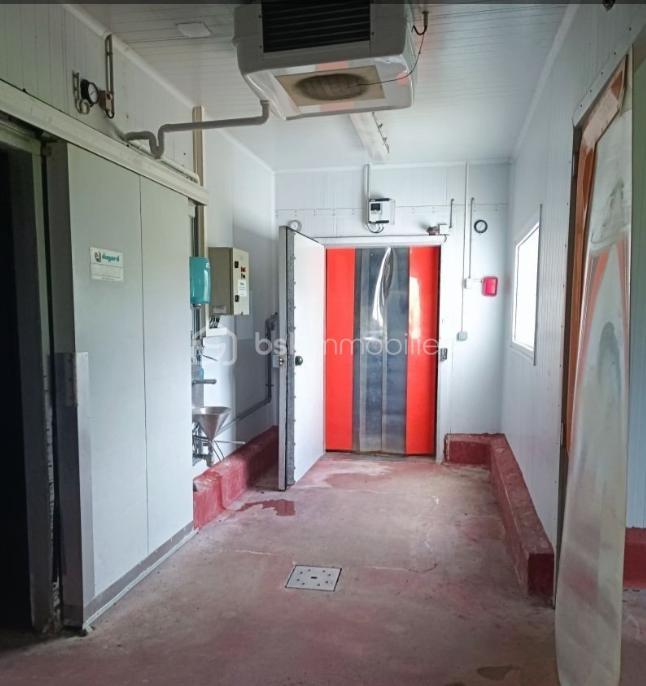 Immeuble - 1 200 m² - 15 pièces