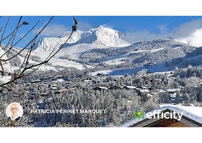 Châlet - 243 m² - 12 pièces