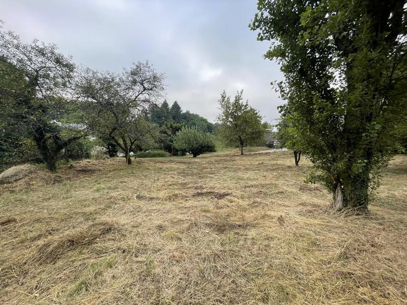 Viager - Maison traditionnelle - 166 m² - 5 pièces