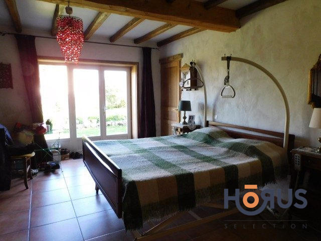 Viager - Maison ancienne - 210 m² - 4 pièces