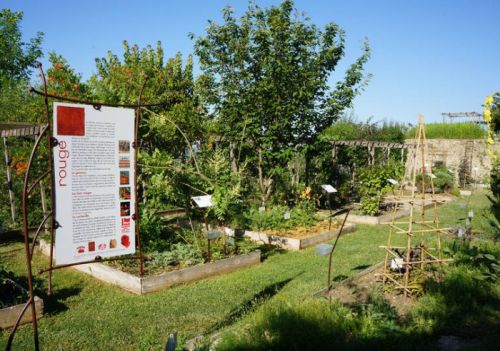 Jardin des Plantes Tinctoriales