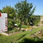 Jardin des Plantes Tinctoriales
