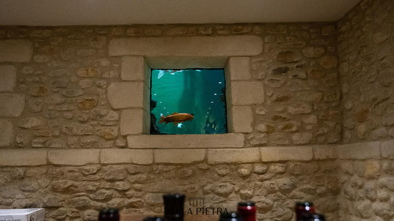 Maison - 800 m² - 14 pièces