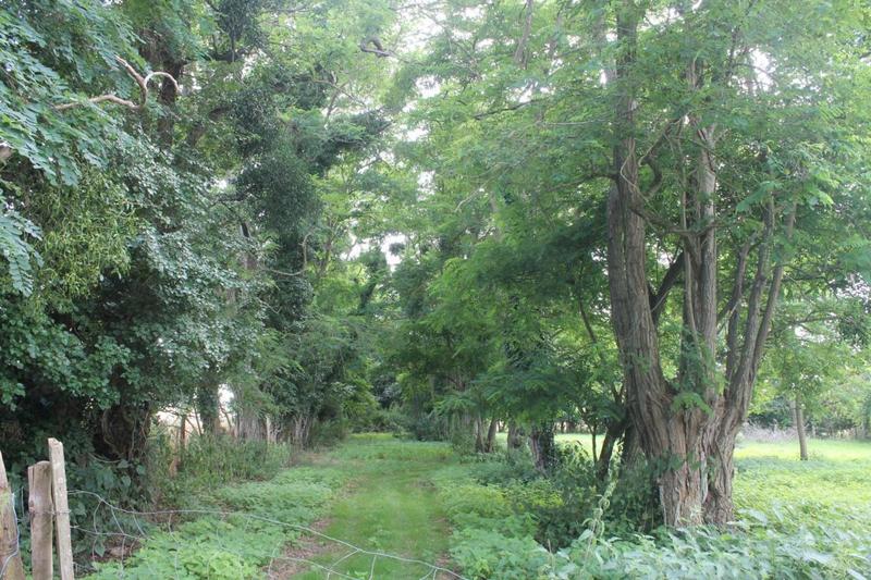 Ferme - 126 m² - 4 pièces