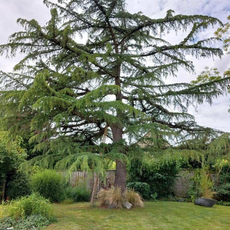 Longère - 184 m² - 6 pièces