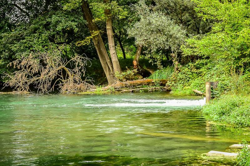 Visite guidée de l'inattendue jungle alsacienne