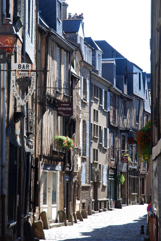 La cité Plantagenêt